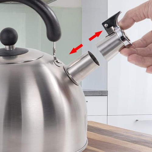 Stainless steel kettle - kettle, whistle